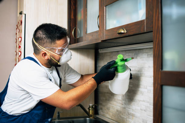 Best Exterminator Services  in Ruckersville, VA