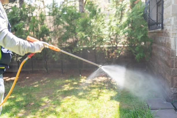 Best Termite Control Services  in Ruckersville, VA