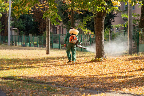 Best Cockroach Control Services  in Ruckersville, VA