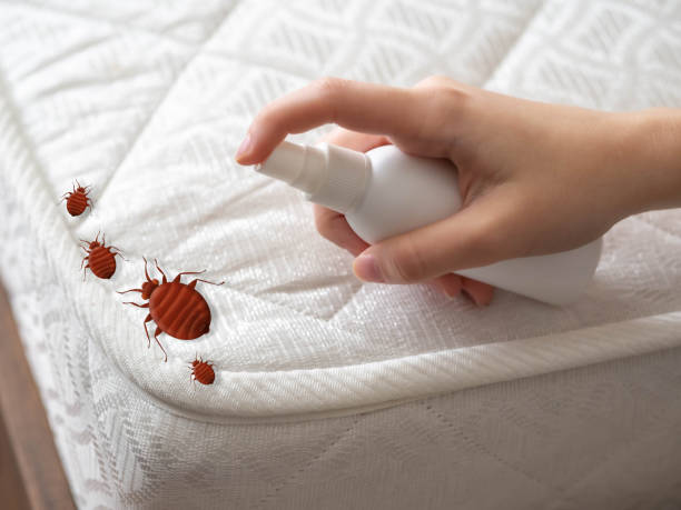 Best Pest Inspection Near Me  in Ruckersville, VA