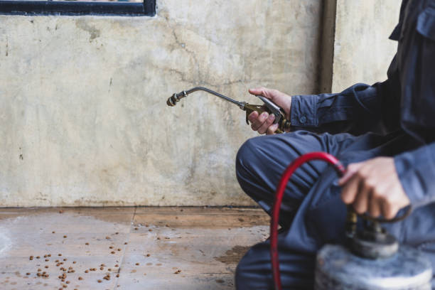 Best Pest Prevention Services  in Ruckersville, VA